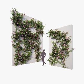 Generic Climbing Blooming Plants 2 3D